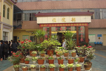 郑州市郑飞医院 - 关爱老区母亲健康,百例免费宫颈修复术